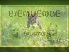 Bienvenue