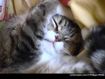 ....chut....!